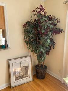 lot 11 image: Rotham Framed Art Print Signed by Artist and Faux Tree