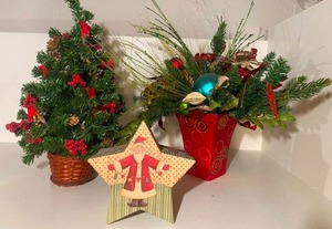 lot 75 image: Potted Christmas Arrangements, Star Box
