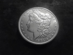 1904 Morgan Silver Dollar