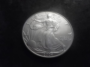 2004 US American Eagle Dollar 1 Oz. .99.0 Fine Silver MS From Unc. Roll