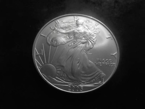 2005 US American Eagle Dollar 1 Oz. .99.0 Fine Silver MS From Unc. Roll