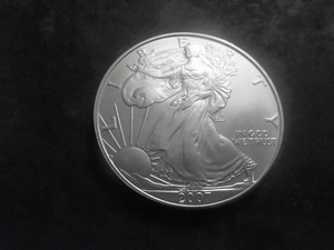 2007 US American Eagle Dollar 1 Oz. .99.0 Fine Silver MS From Unc. Roll