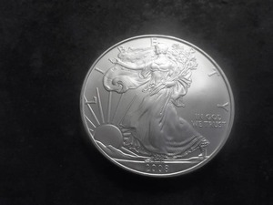 2008 US American Eagle Dollar 1 Oz. .99.0 Fine Silver MS From Unc. Roll
