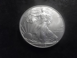 2009 US American Eagle Dollar 1 Oz. .99.0 Fine Silver MS From Unc. Roll