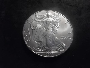 2013 US American Eagle Dollar 1 Oz. .99.0 Fine Silver MS From Unc. Roll