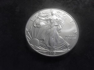 2015 US American Eagle Dollar 1 Oz. .99.0 Fine Silver MS From Unc. Roll