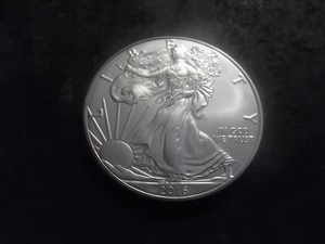 2016 US American Eagle Dollar 1 Oz. .99.0 Fine Silver MS From Unc. Roll