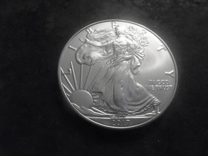 2017 US American Eagle Dollar 1 Oz. .99.0 Fine Silver MS From Unc. Roll