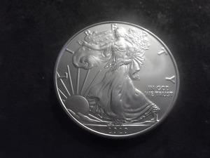 2020 US American Eagle Dollar 1 Oz. .99.0 Fine Silver MS From Unc. Roll