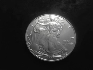 2021 US American Eagle Dollar 1 Oz. .99.0 Fine Silver MS From Unc. Roll