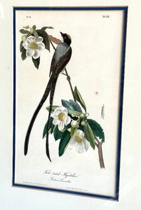 Three Audubon Prints