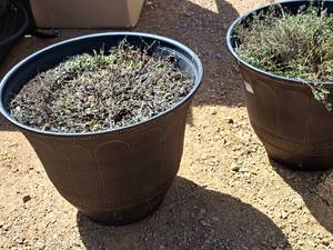 lot 609 image: Lot of (2) 20 Outdoor Planters