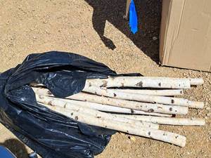 lot 614 image: Lot of (10) 4 Birch Wood Decor