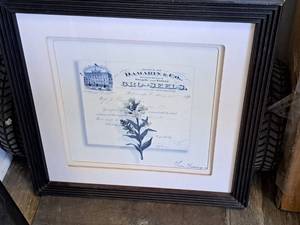 lot 775 image: Wall Art - Damarin & Co. Gro Seeds Certificate , FramedDouble Matte
