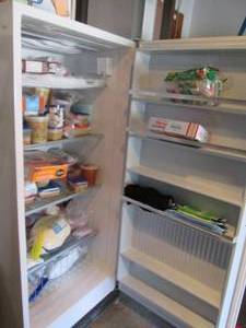 lot 4 image: Upright Signature freezer and all content