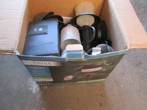 lot 367 image: Patriot Lighting 10 pc low voltage ...