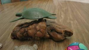 lot 142 image: large collection of turtle items va...