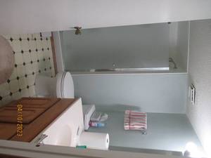 lot 271 image: All content in lower level bathroom...