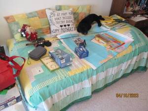 lot 381 image: Twin sized bedframe and bedding wit...