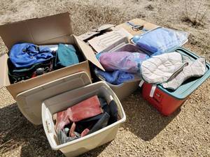 Collection Of Horse Supplies