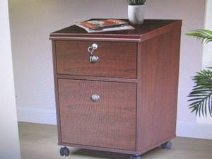 Saint Birch 2-Drawer Dark Mobile Fi...