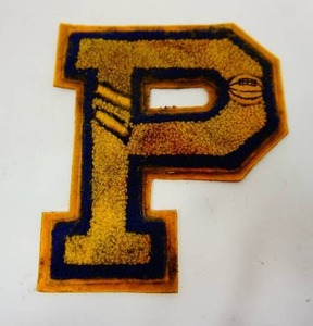 lot 109 image: South Dakota Peever Panthers Vintage Basketball Patch