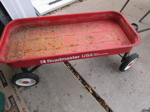 Roadmaster Coaster Wagon