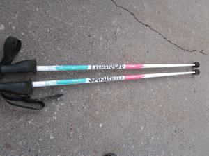 Exerstriders