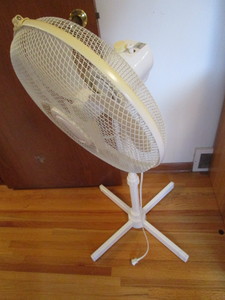 Windmere Fan