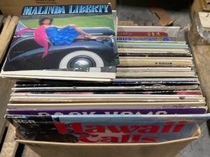 Lot of Vinyl Records