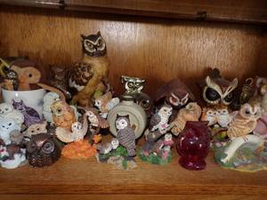 Huge Collectable Owl Set.  Hundreds and Hundreds of Owls