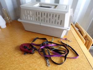 Small Dog Carrier with Leashes