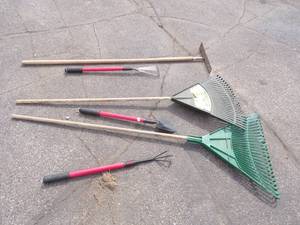 Outdoor Garden Lot
