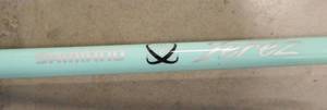 Shimano Terez fishing rod