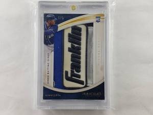 lot 117 image: Miguel Sano Rookie Jumbo Batting Glove Immaculate Collection No. IJ-MS
