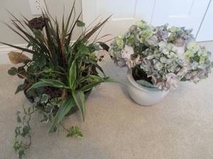 2 Potted plants...