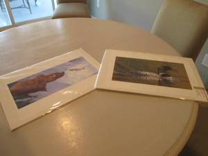 2 Nature prints by Kevin Chapman...