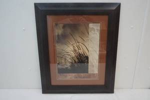 lot 178 image: wild grass picture