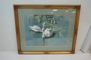 lot 181 image: swans