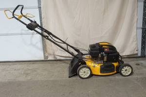 lot 217 image: Cub Cadet push mower