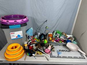 lot 167 image: Large Lot of Cat Toys, Food Bin, and More