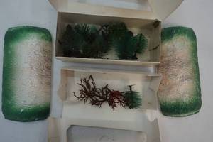 lot 102 image: Life-like products trees