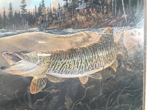 lot 377 image: Framed Print - Muskie Bay by Terry Doughty