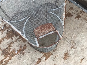lot 398 image: Minnow holding cages  traps