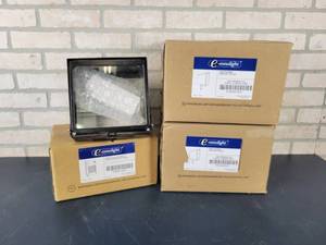 lot 1302 image: (4) NEW E-Conolight Outdoor Commercial Flood Lights