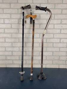 lot 1359 image: (3) Canes - NO SHIPPING