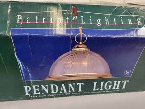 lot 1106 image: New Open Box - Patriot Lighting 16.5 Clear Glass pendant Light