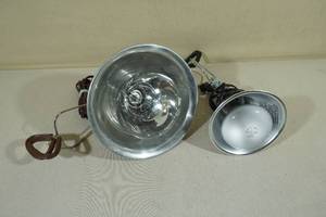 lot 182 image: 2 Heat Lamps
