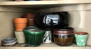 lot 411 image: Plethora of Pots and Planters