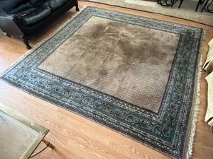 Beautiful Area Rug